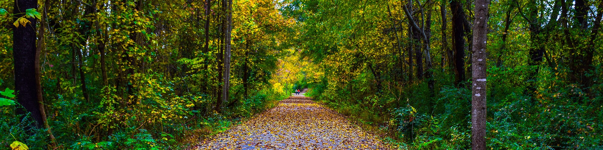 Greenville Office Simpsonville SC, Holley Endodontics